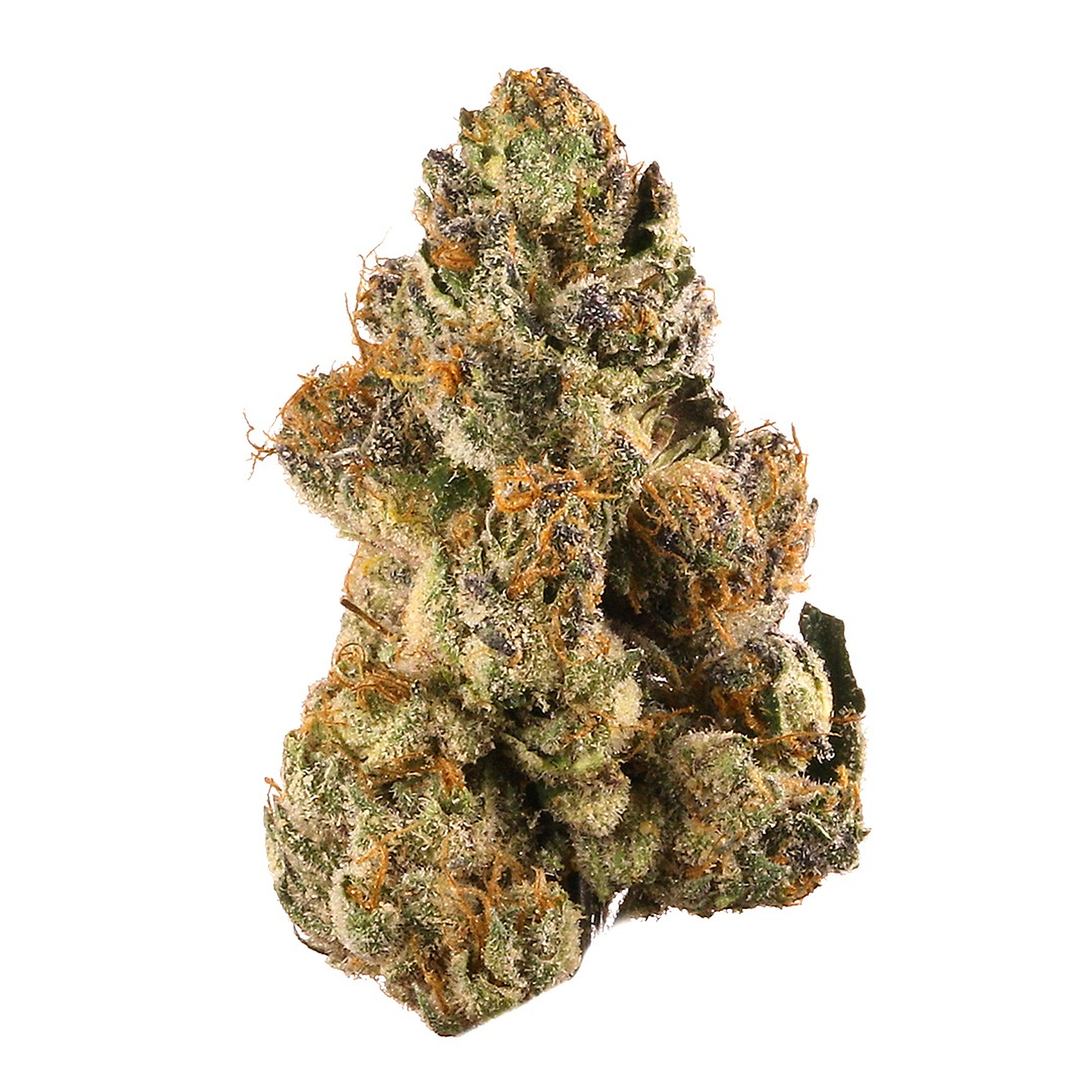 $100 Oz