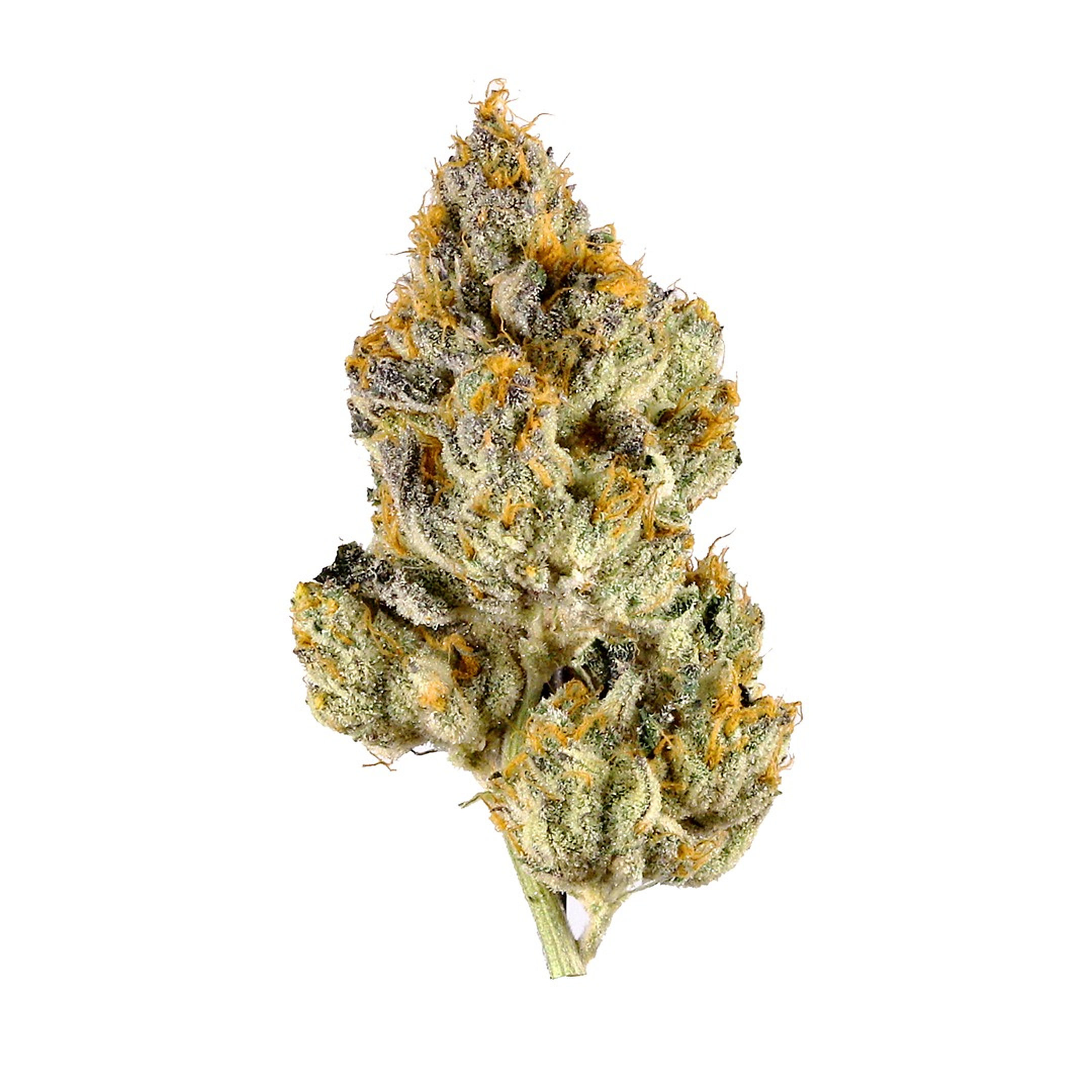 $150 Oz
